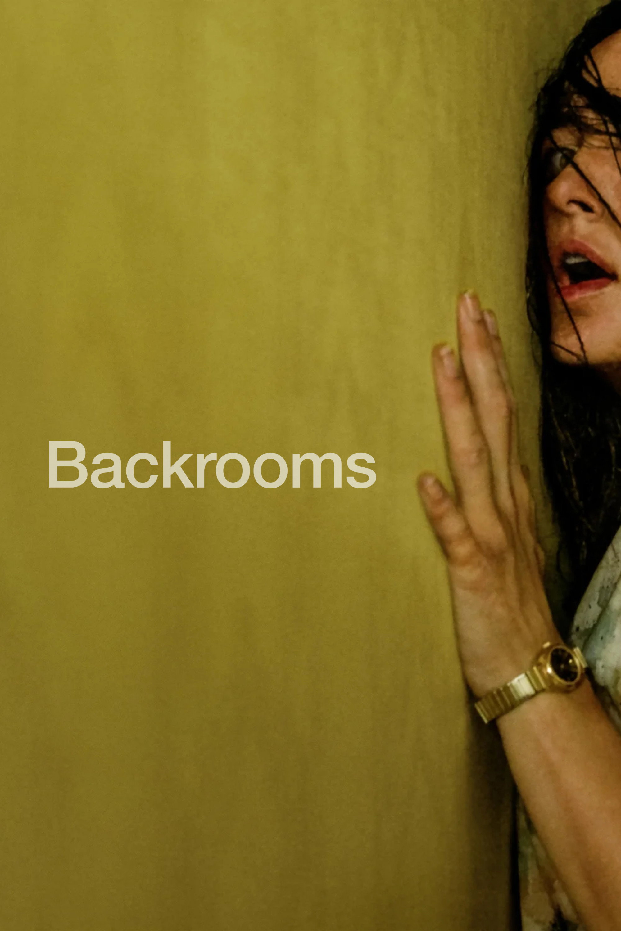 Backrooms Backrooms