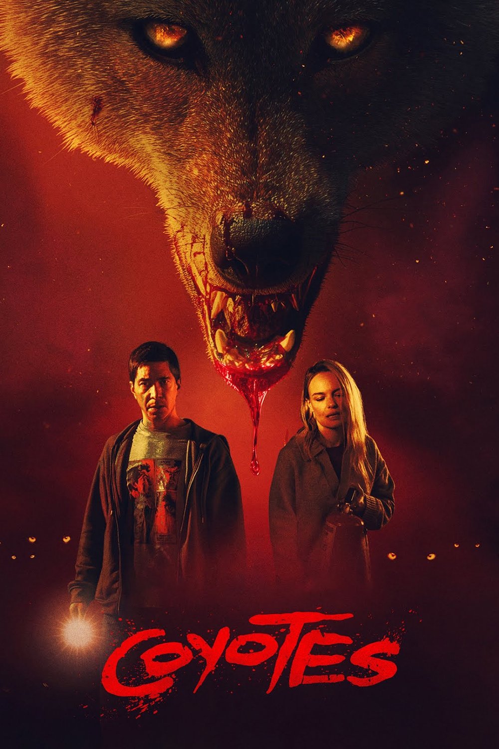 Coyotes Poster