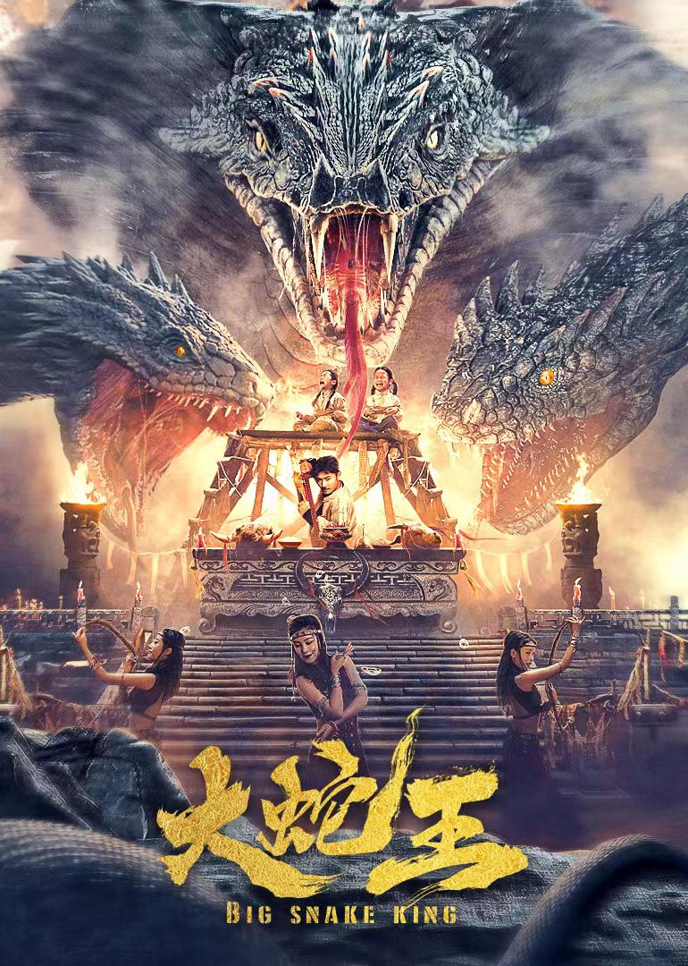 Da she wang Poster