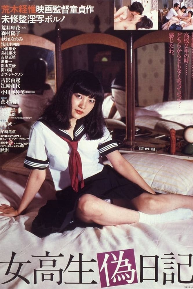 High School Girl's Diary Poster