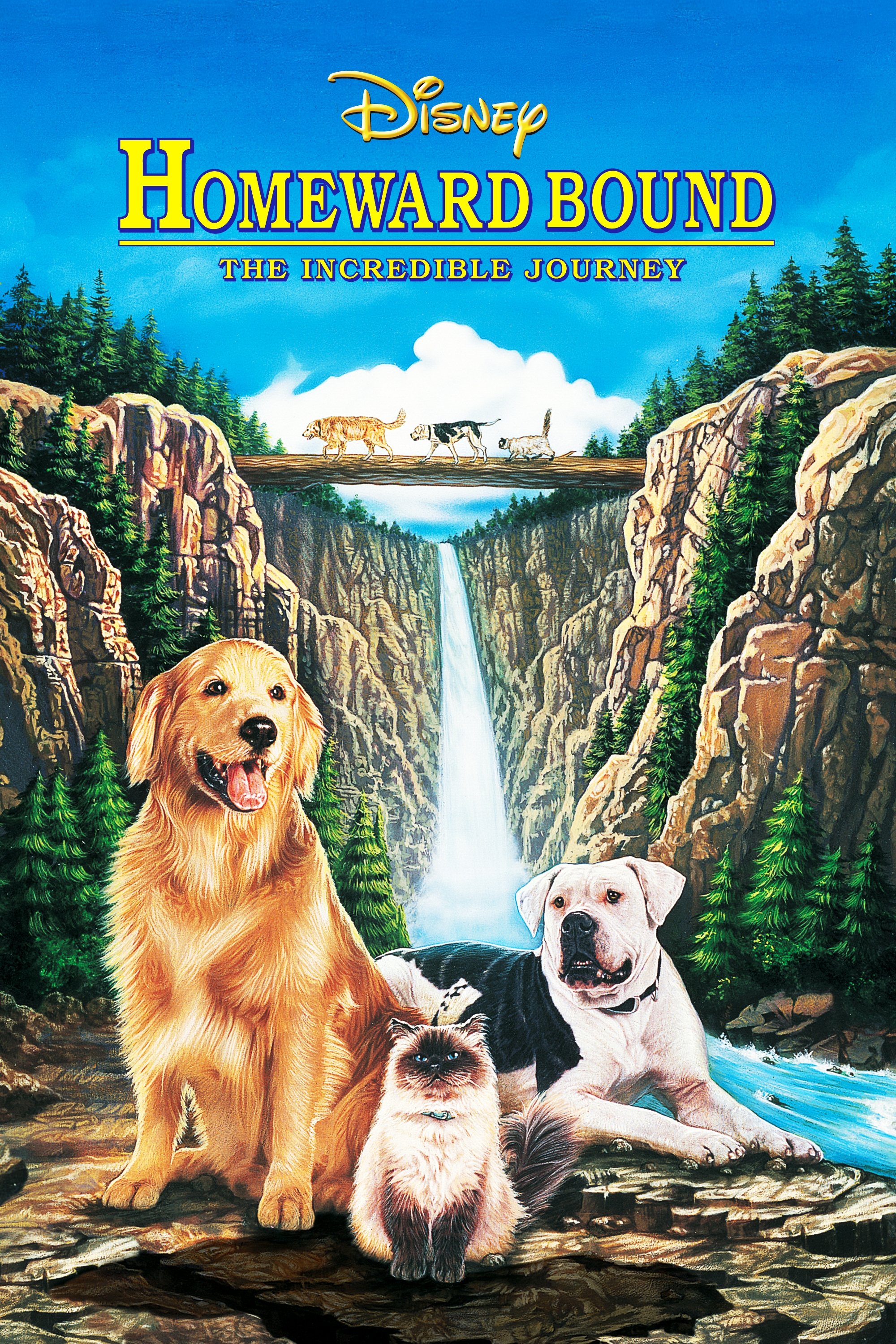 Homeward Bound 1: The Incredible Journey