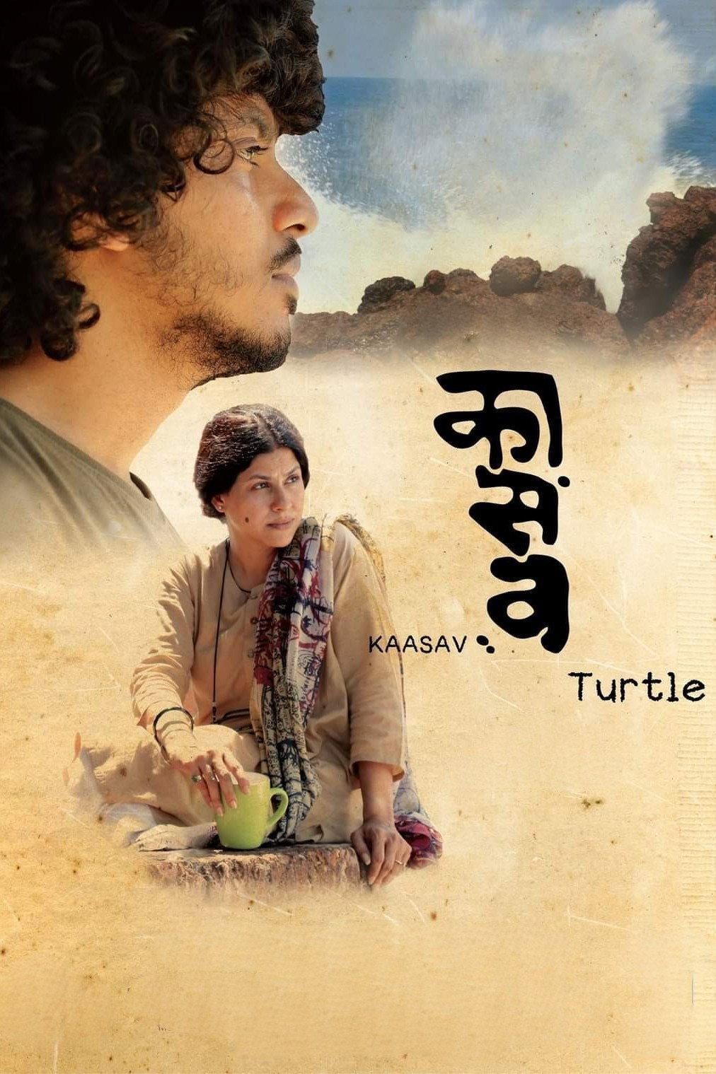 Kaasav: Turtle Kaasav: Turtle