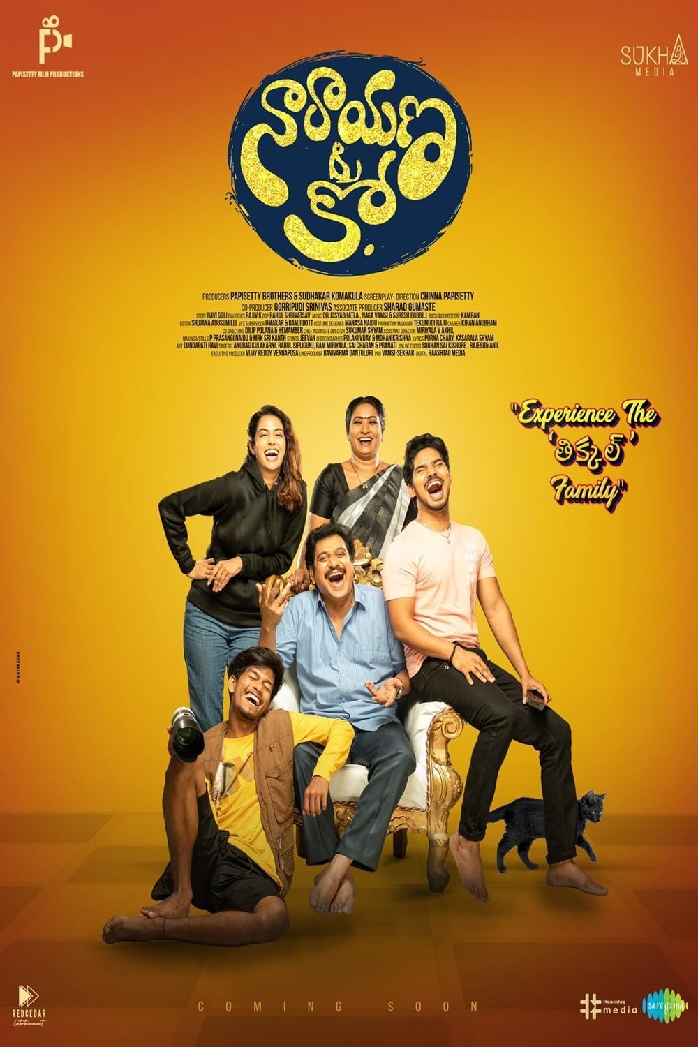Narayana & Co Poster