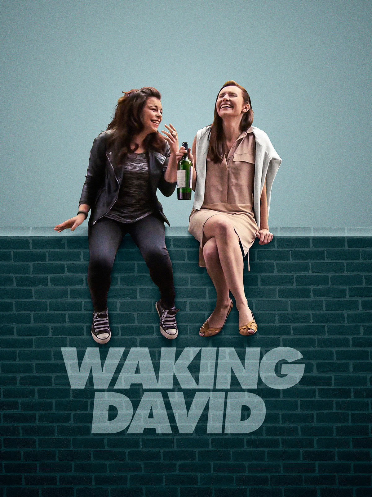 Waking David Poster