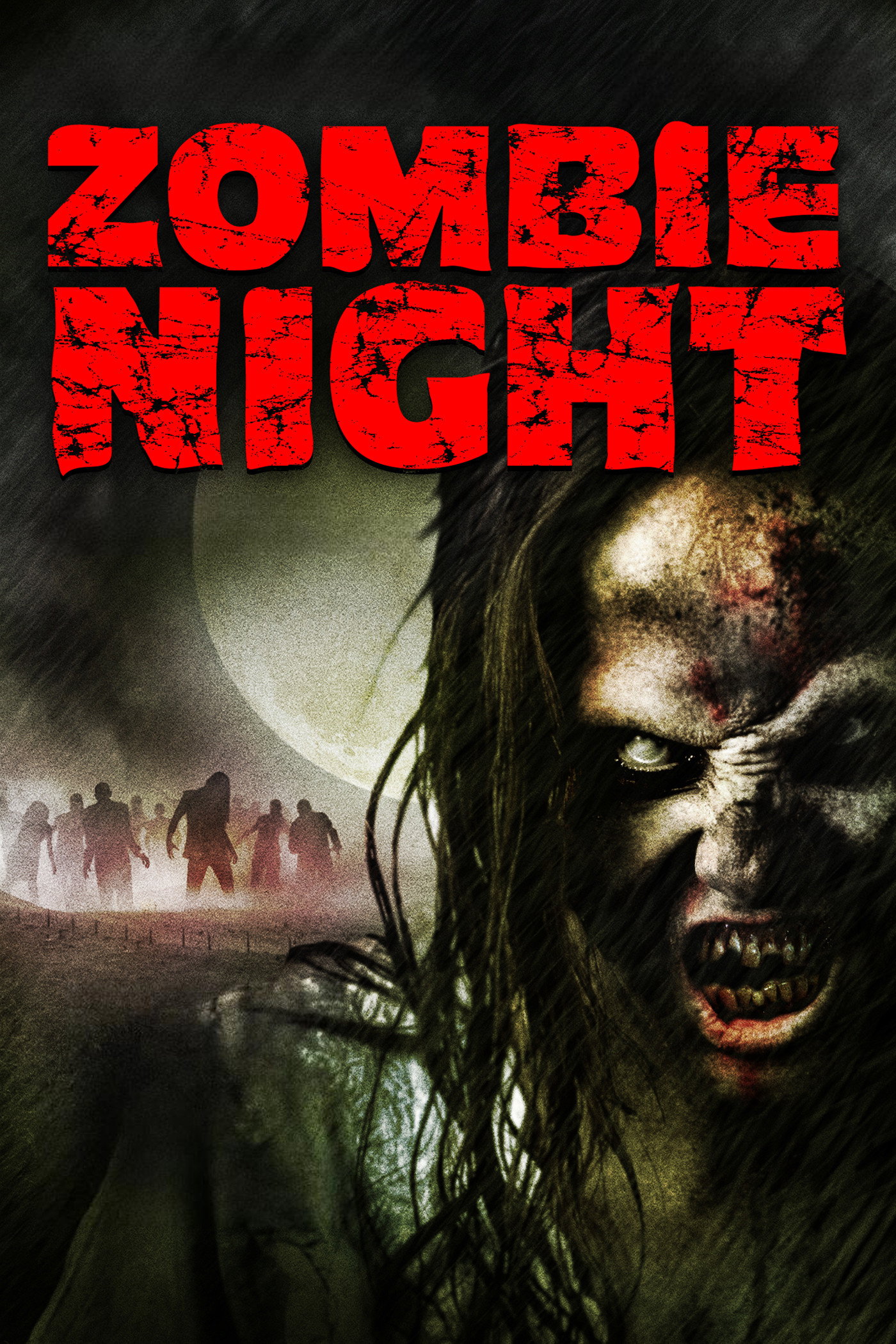 Zombie Night Poster